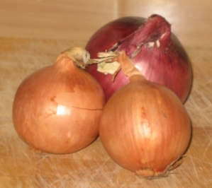 onions-640x570