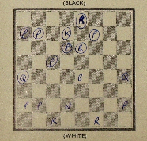 chess-book-480x460